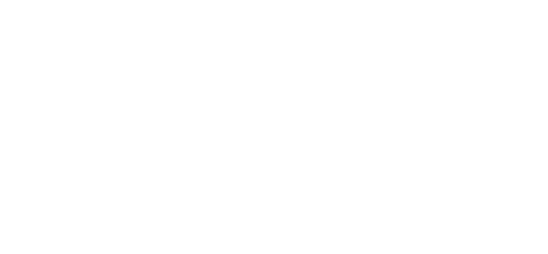 the-fearless-leader-adelaide-business-consultant-presentation-speaker